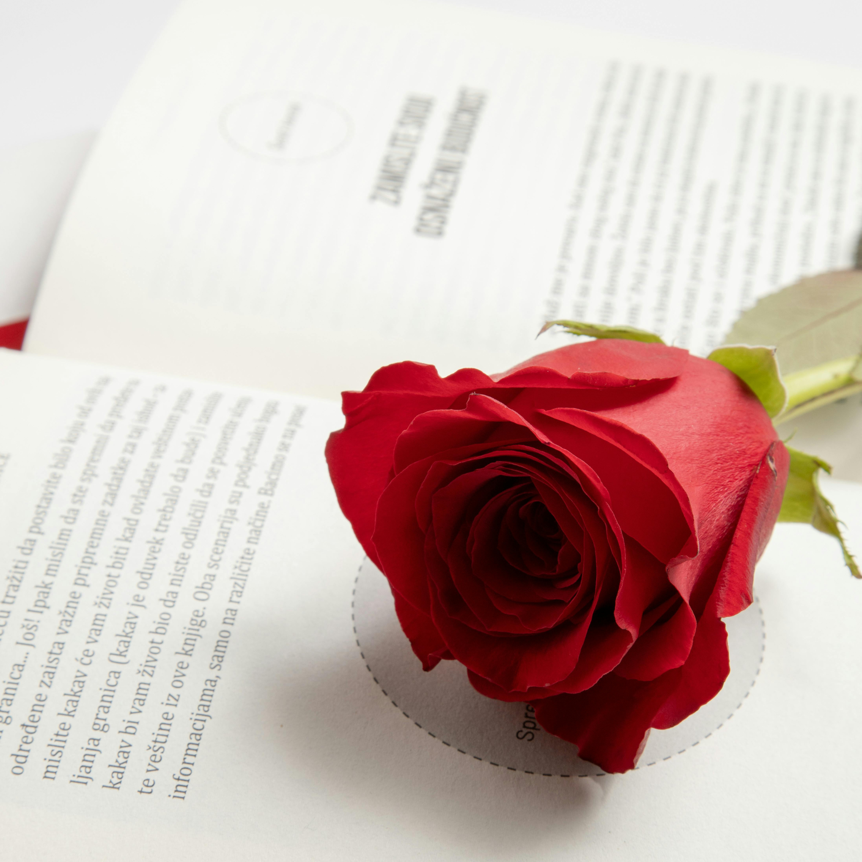 ROMANCE BOOKS
