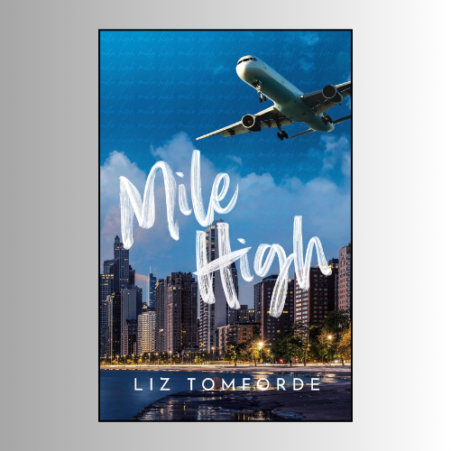 Windy City Series (5 Book series) by Liz Tomforde (Author)